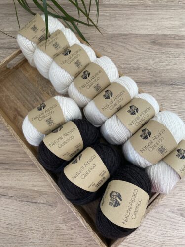 A wooden tray filled with skeins of Natural Alpaca Classico yarn in cream and black, used for knitting the Vine Pullover. The yarn is neatly arranged on a wooden surface with a green plant in the background.