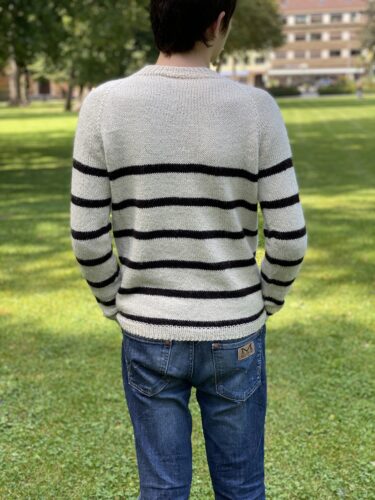A back view of the Vine Pullover, highlighting the clean striped pattern and comfortable fit. The pullover is paired with blue jeans, and the background features a grassy park with trees and buildings.
