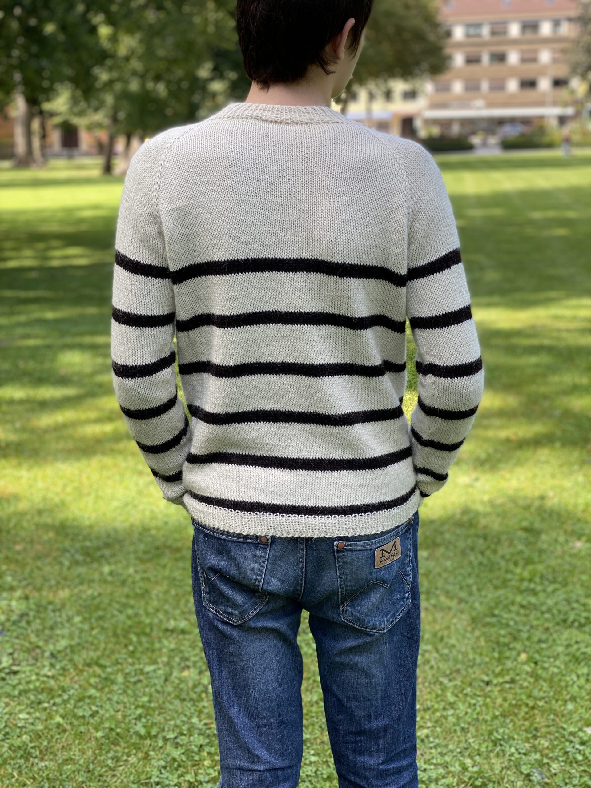 A back view of the Vine Pullover, highlighting the clean striped pattern and comfortable fit. The pullover is paired with blue jeans, and the background features a grassy park with trees and buildings.