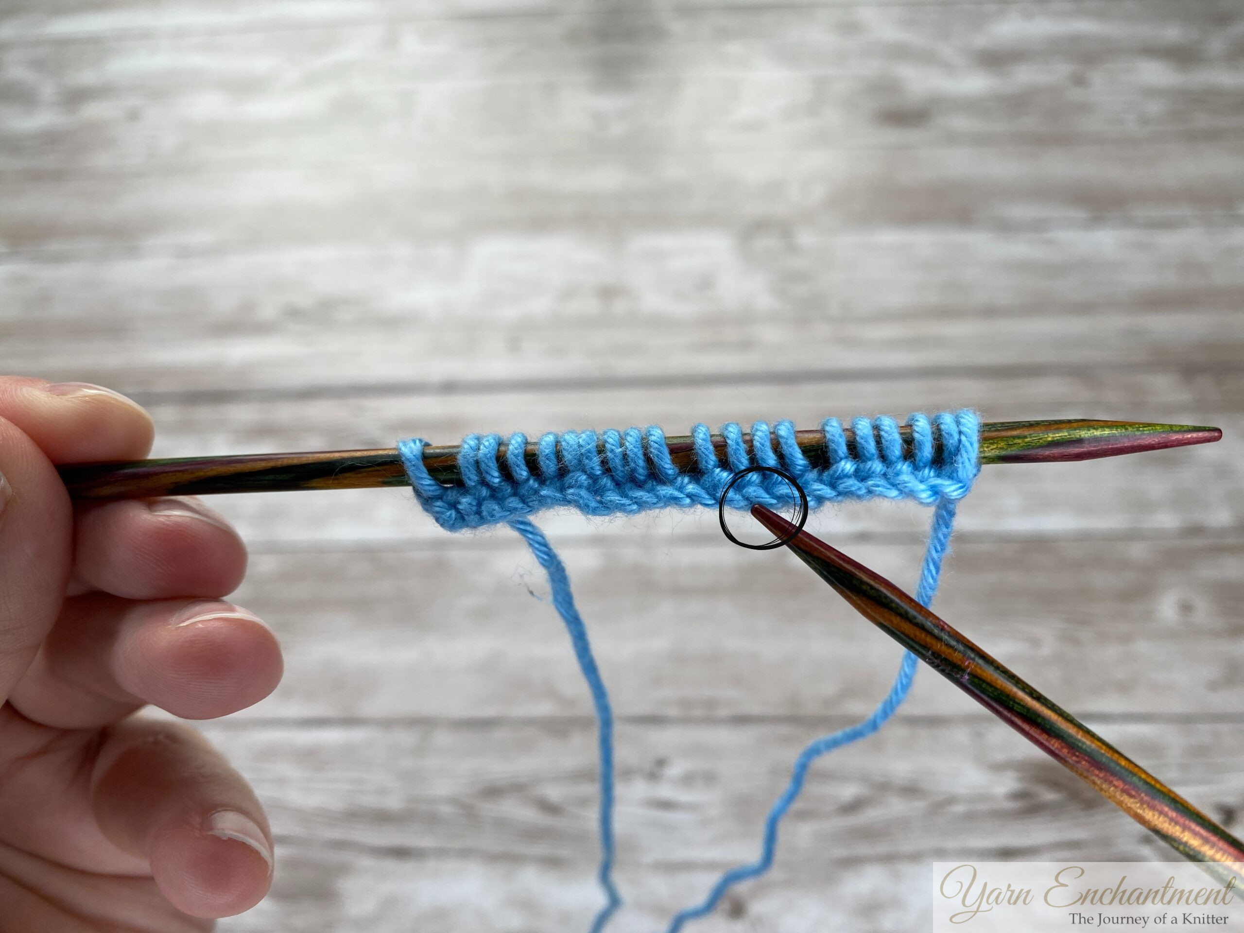 Close-up of blue cast-on stitches neatly arranged on a wooden knitting needle.