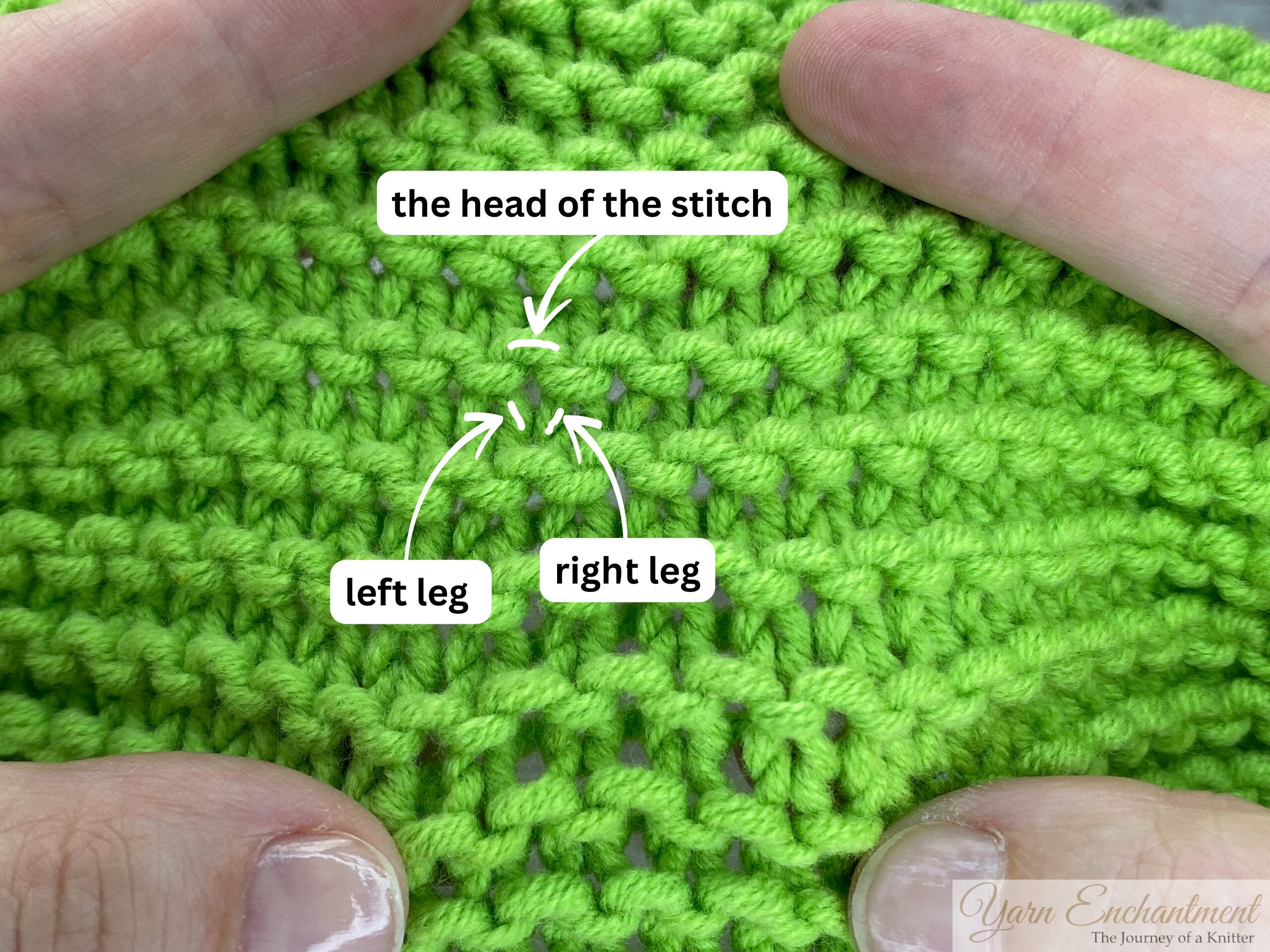 Bright green knit fabric with close-up labels and arrows identifying the head, left leg, and right leg of a knit stitch for a knitting tutorial.