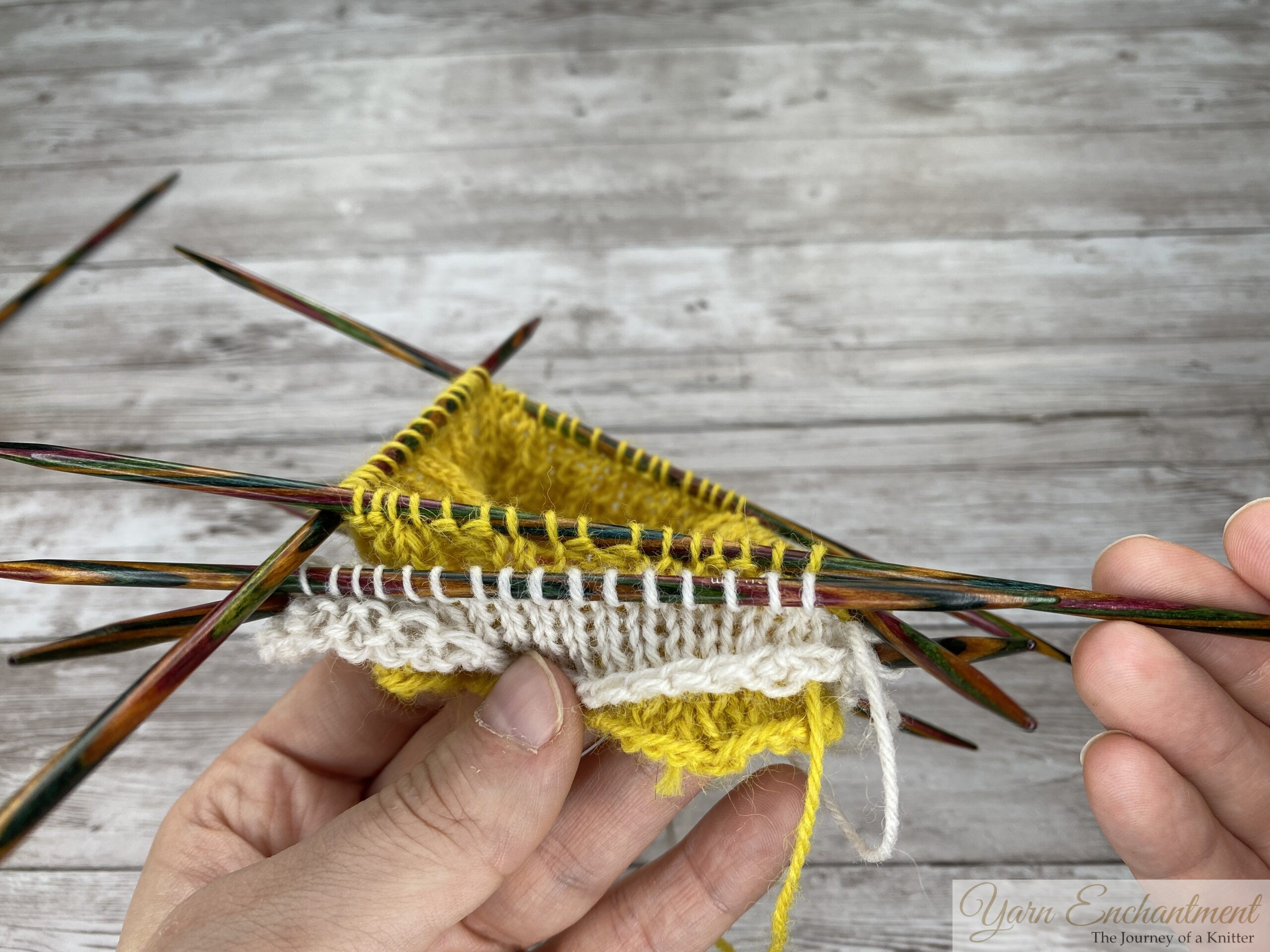A knitter's hands holding colorful wooden double-pointed needles (DPNs). The needles hold two distinct sections: the textured yellow ruffle and the beginning of the smooth white sock cuff, set against a light grey wood-grain background.