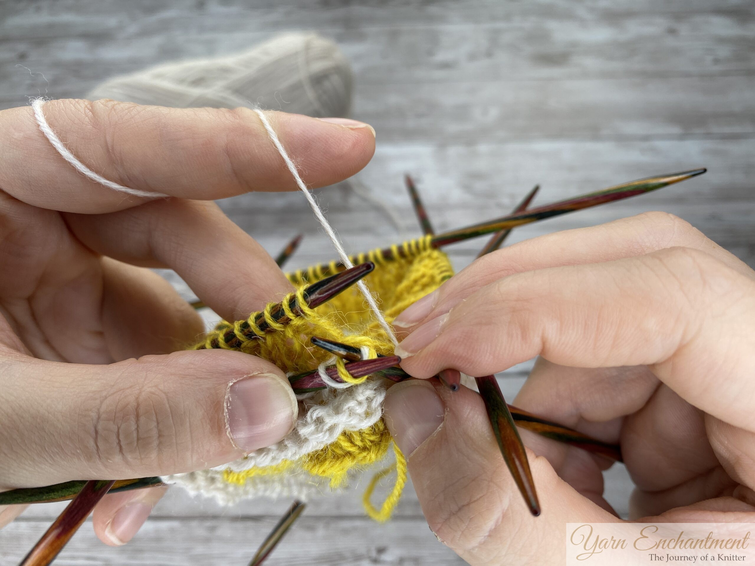 A tight close-up of a knitting project in progress. Colorful wooden double-pointed needles hold both the yellow ruffle and the white sock yarn. The right needle is wrapped with white yarn, preparing to pull through a stitch, over a grey wood-grain surface.